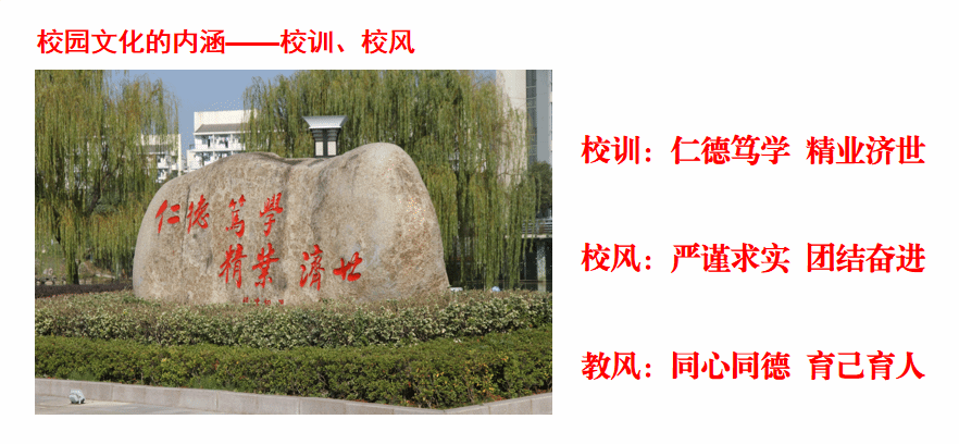 首页- 广发体育官方网站
